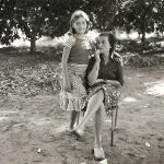 As minhas Memórias das Árvores de Moçambique