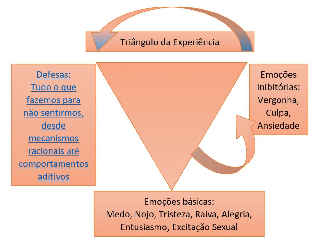 triângulo da experiência